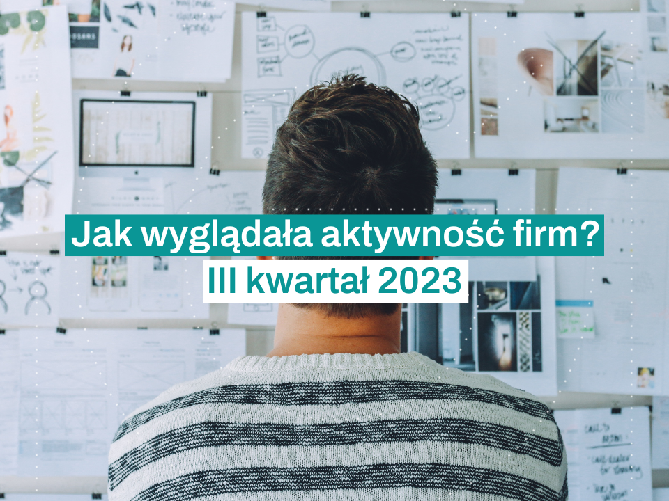Jak wyglądała aktywność firm(3)